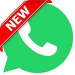 WhatsApp Contact Icon